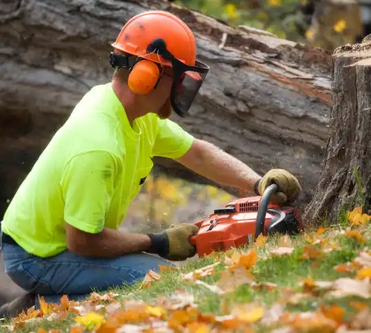 tree services Riegelwood